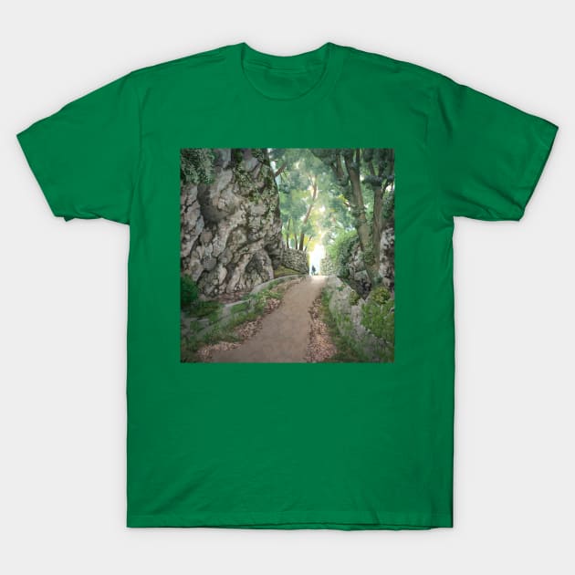 Mountain path T-Shirt by Alexgle